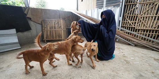 Tangguh, Wanita Ini Mampu Rawat Puluhan Anjing Terlantar Hingga Ditolak Ormas