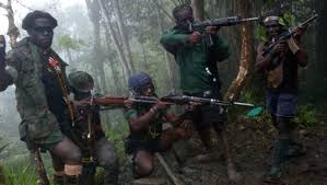Aksi Brutal KKB Aniaya dan Lecehkan Nakes Hingga Tewas di Pegunungan Bintang Papua 