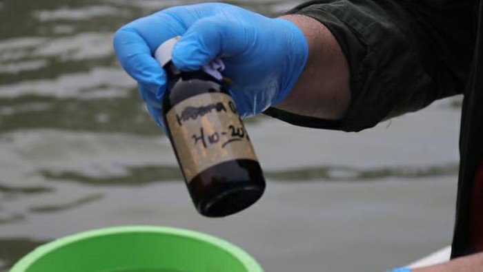 BRIN : konsentrasi Parasetamol yang tinggi meningkatkan kekhawatiran dampak pada biota Laut di Teluk