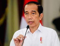 Jokowi Sebut BUMN yang Sakit Mesti Disuntik Mati