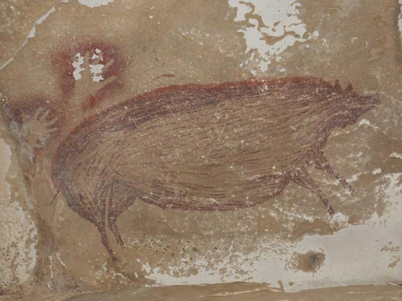 Lukisan Babi Berusia 45.000 Tahun di Sulawesi Mungkin Merupakan Seni Hewan Tertua 